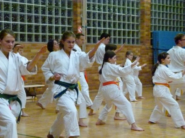 Gürtelprüfung/Training Februar 2012