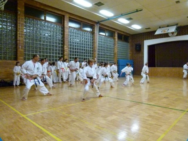 Gürtelprüfung/Training Februar 2012