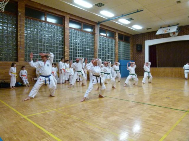 Gürtelprüfung/Training Februar 2012