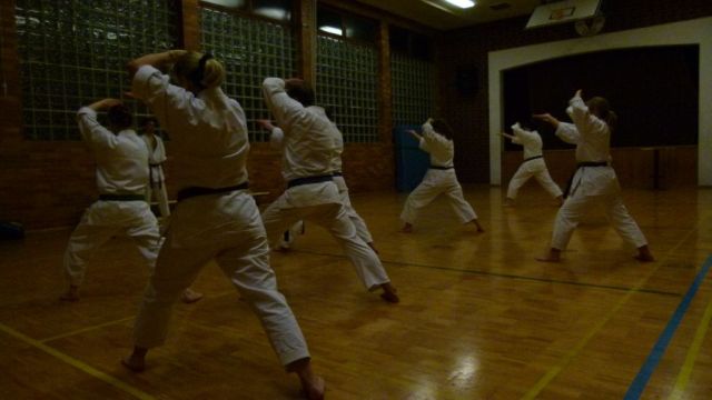 Gürtelprüfung/Training Februar 2012